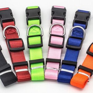 Adjustable Pet Collar with Multiple Designs
