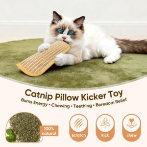 Catnip Kicker Pillow Toy Set